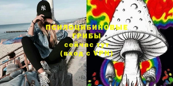 прущие грибы Балахна