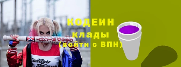 прущие грибы Балахна
