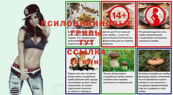 прущие грибы Балахна