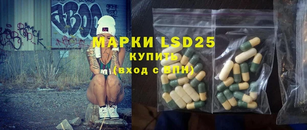 прущие грибы Балахна